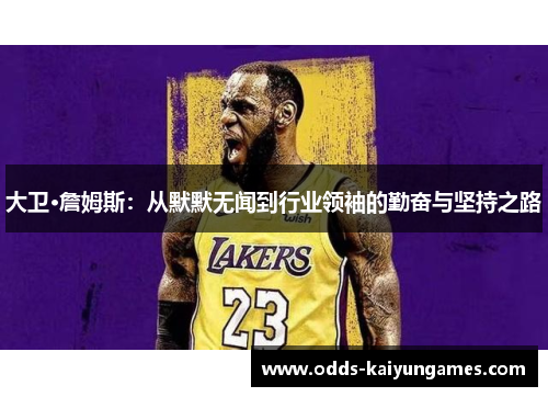 大卫·詹姆斯：从默默无闻到行业领袖的勤奋与坚持之路