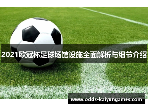 2021欧冠杯足球场馆设施全面解析与细节介绍